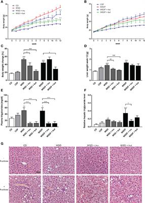 Prebiotic Inulin and Sodium Butyrate Attenuate Obesity-Induced Intestinal Barrier Dysfunction by Induction of Antimicrobial Peptides